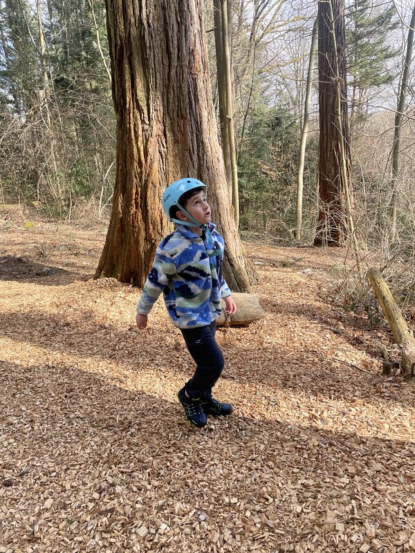 В сказочном лесу.... - Галина В сказочном лесу.... - Галина