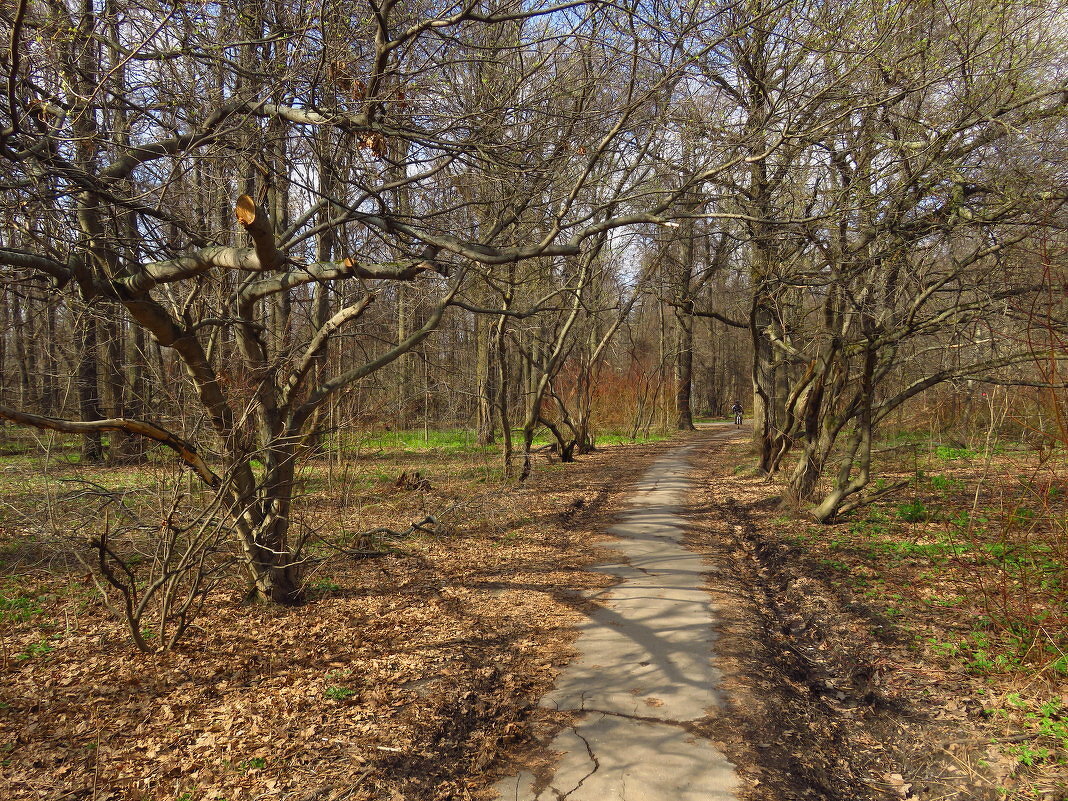 Из старого, 29.04.2018 - Андрей Лукьянов Из старого, 29.04.2018 - Андрей Лукьянов