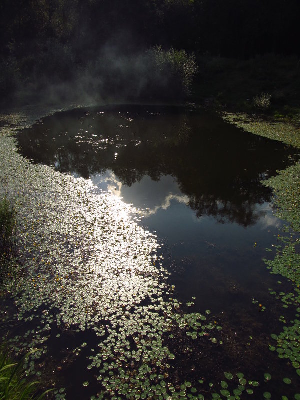 Из старого. 12.08.2012 - Андрей Лукьянов Из старого. 12.08.2012 - Андрей Лукьянов