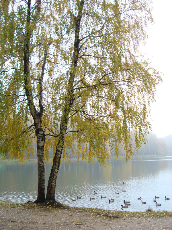 Из старого, 20.10.2007 - Андрей Лукьянов Из старого, 20.10.2007 - Андрей Лукьянов