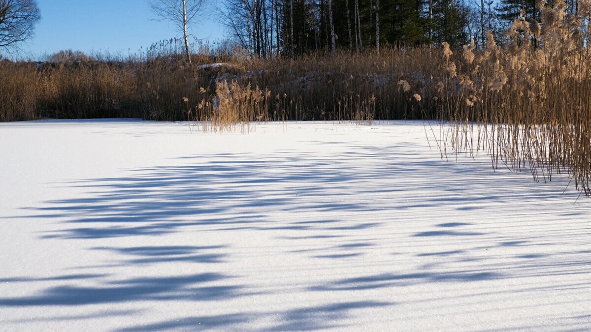 Свет и тени (репортаж из поездок по области). - Милешкин Владимир Алексеевич 