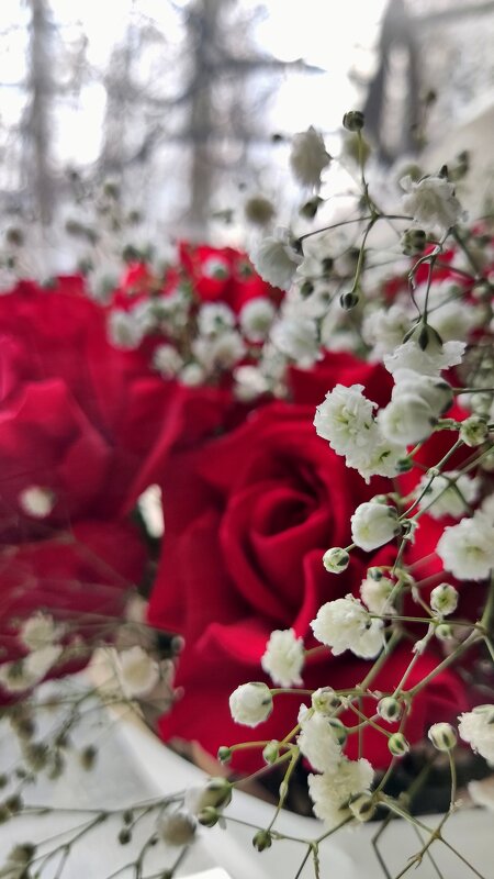 Творчество - Алексей Булак