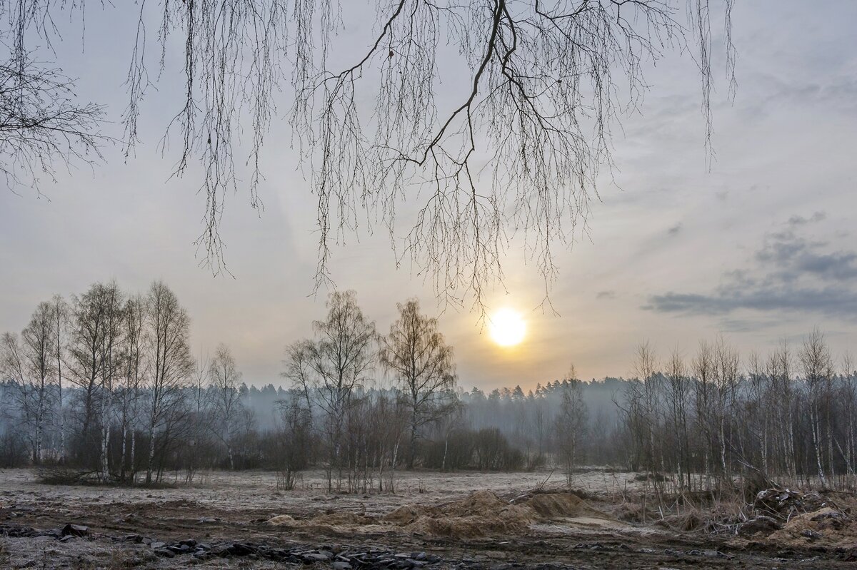 Мартовским утром - Валерий Иванович