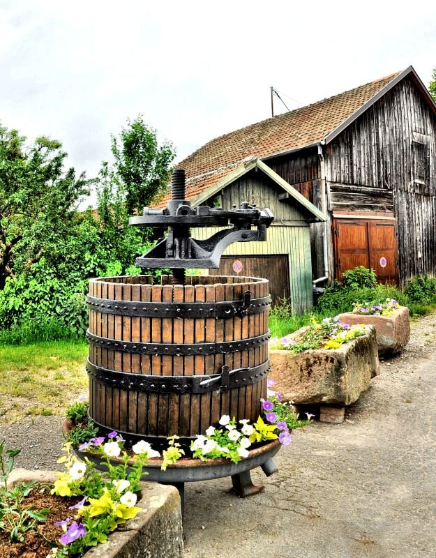 Винный край - Галина Шеина-Мюльдорфер