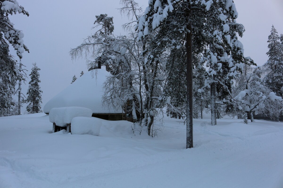 Финское Заполярье - Ольга Финское Заполярье - Ольга