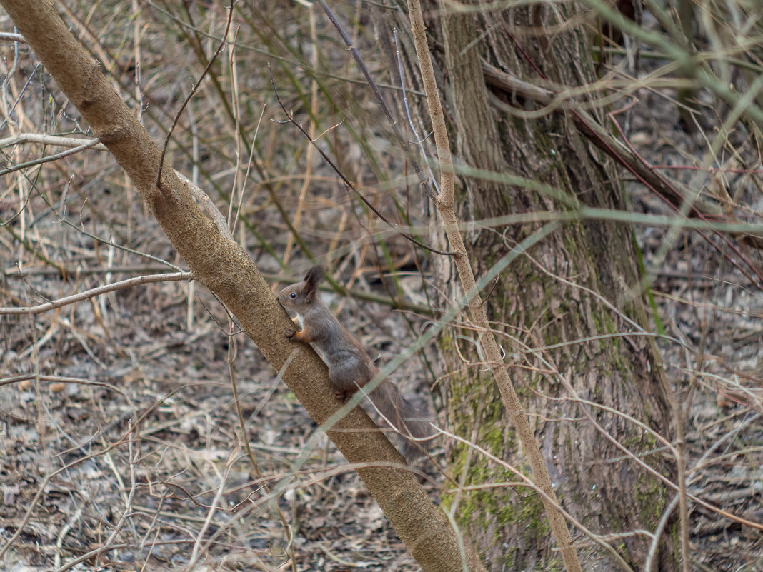 ___ - Yuriy V ___ - Yuriy V