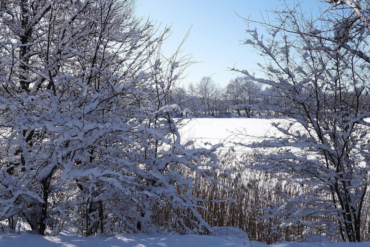 В окрестностях Калининграда - Рита Симонова В окрестностях Калининграда - Рита Симонова