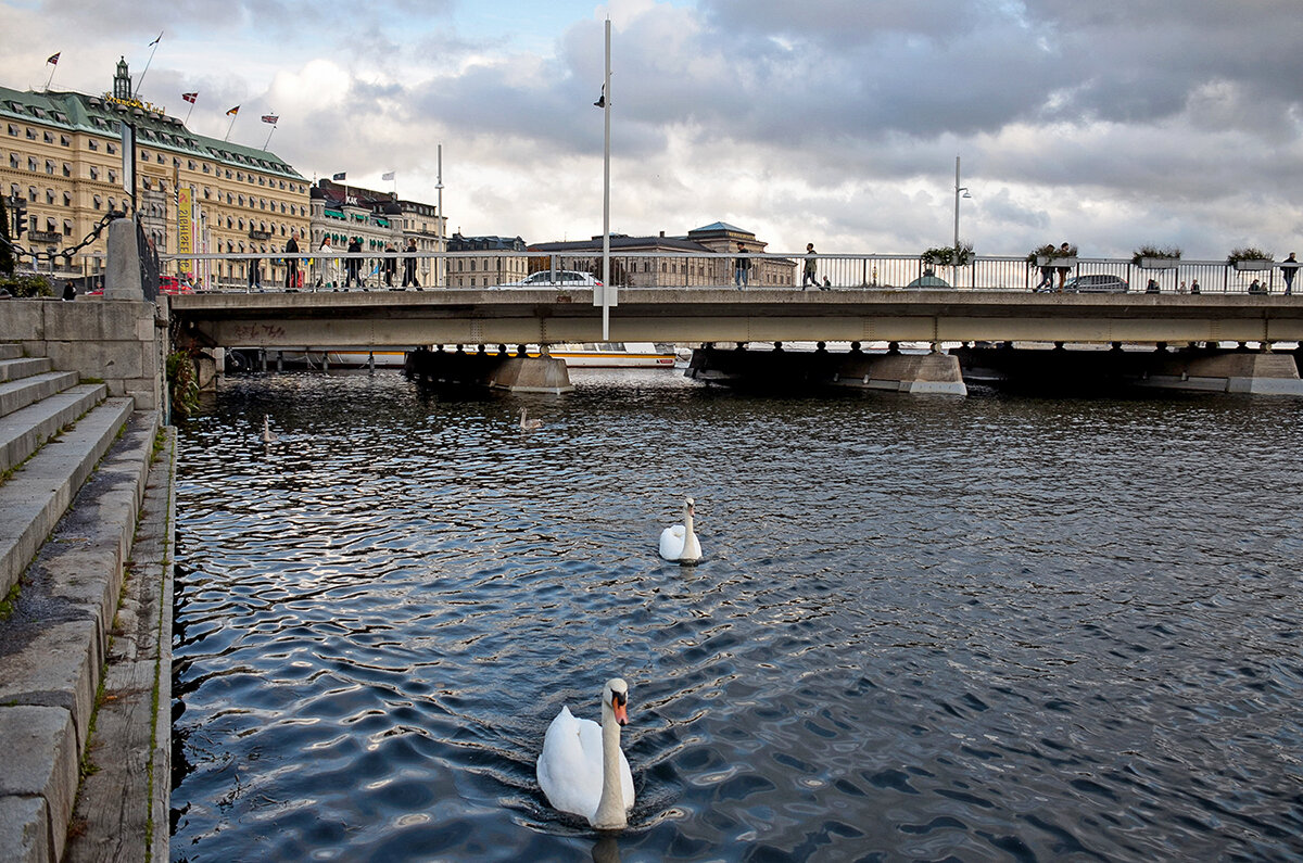 Город в единении с природой - Alexandеr P