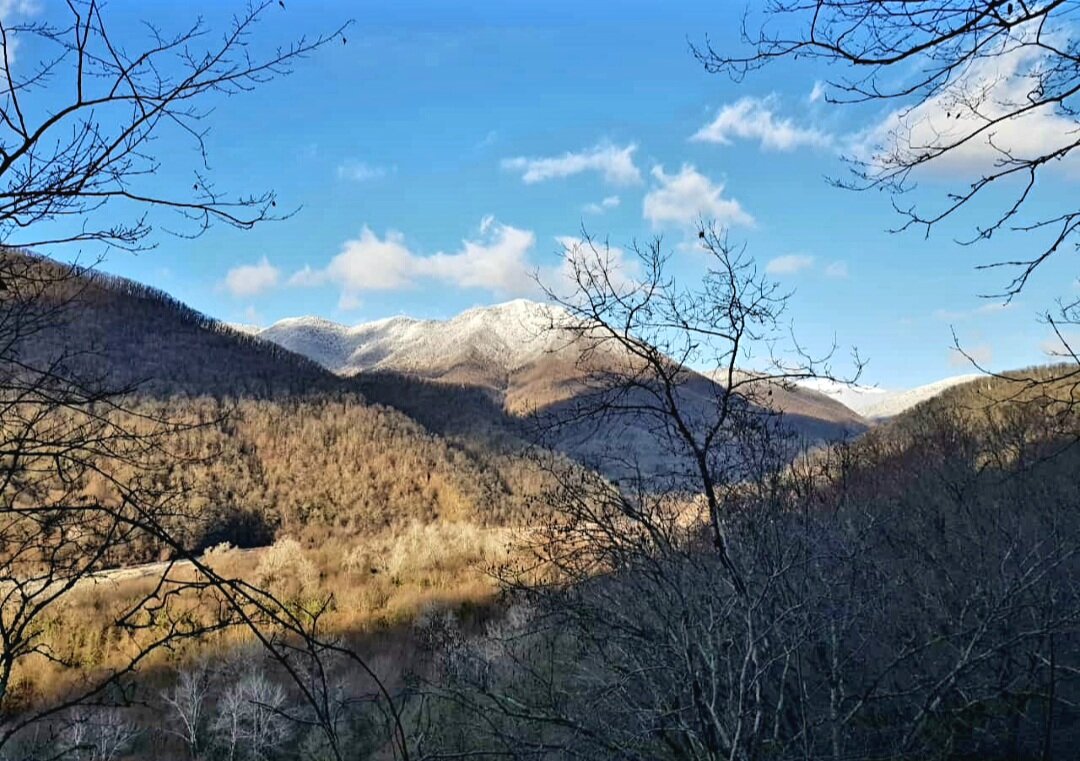 СОЛОХ-АУЛ СОЧИ - Tata Wolf