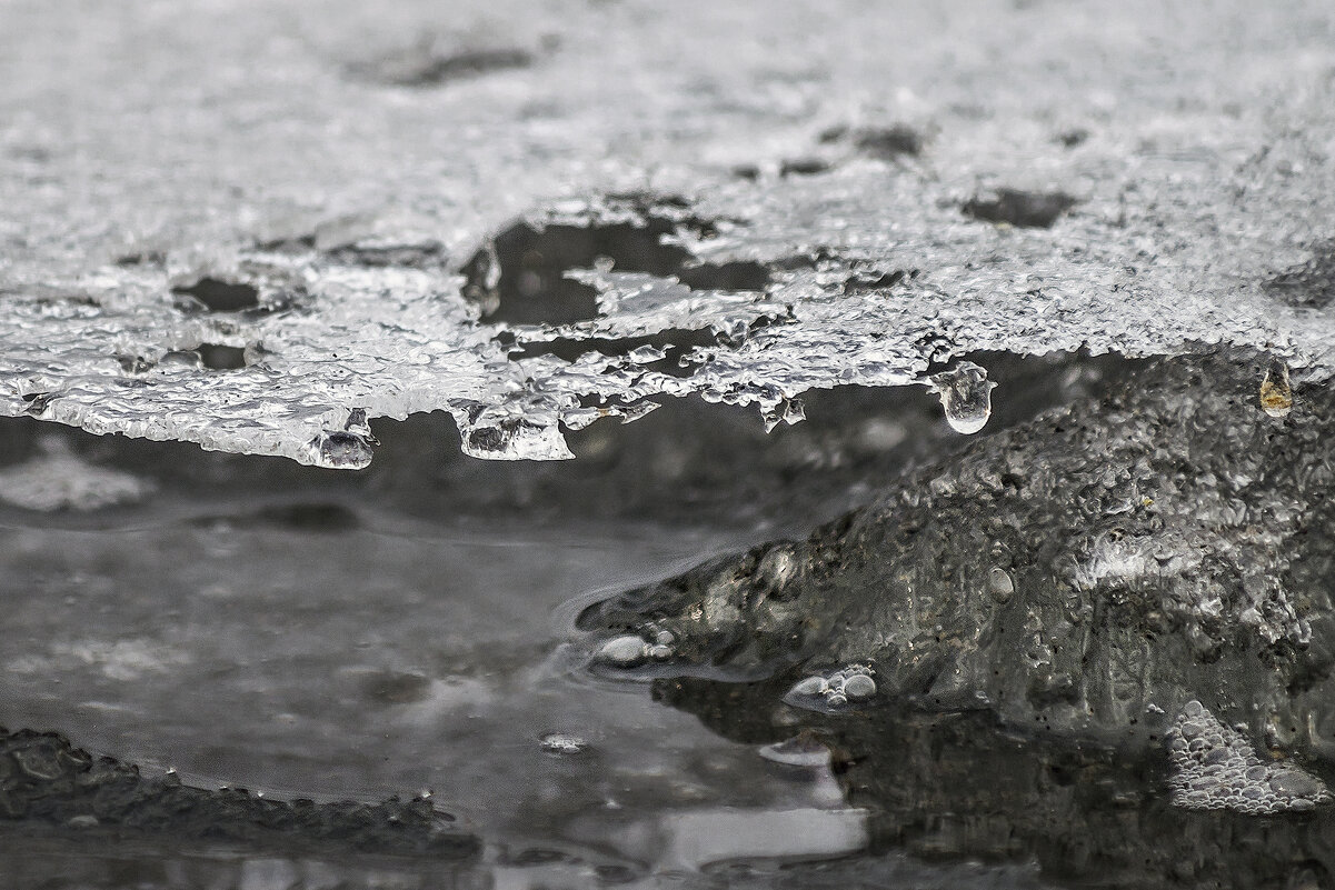 Как крокодил - sorovey Sol Как крокодил - sorovey Sol