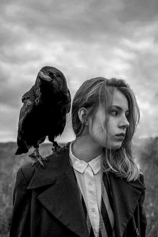 Raven - Нина Скребцова