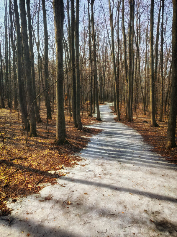 Ледяная тропочка. - Александр Беляков Ледяная тропочка. - Александр Беляков