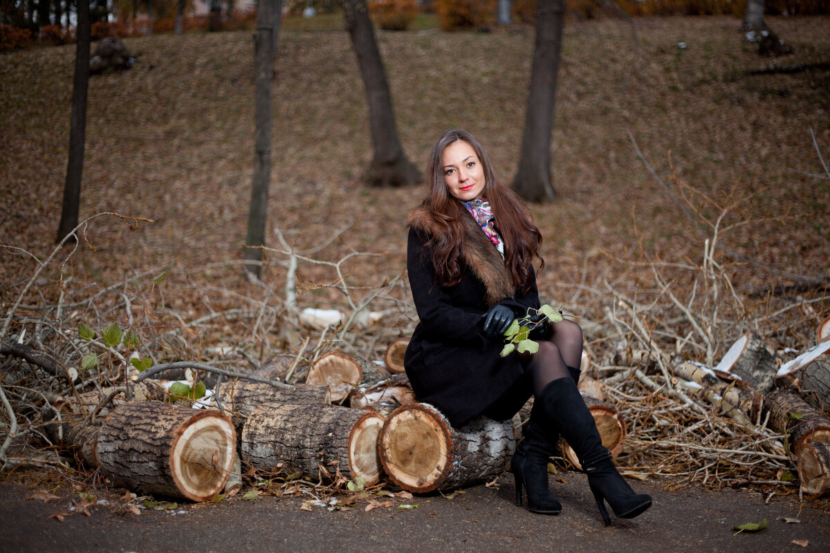 Осенние скамейки - Иван Порохов Осенние скамейки - Иван Порохов