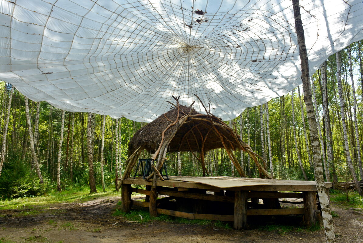 Жилище паука - Леонид Иванчук Жилище паука - Леонид Иванчук