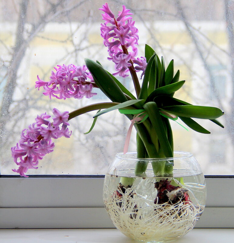 Натюрморт! - жанна нечаева Натюрморт! - жанна нечаева