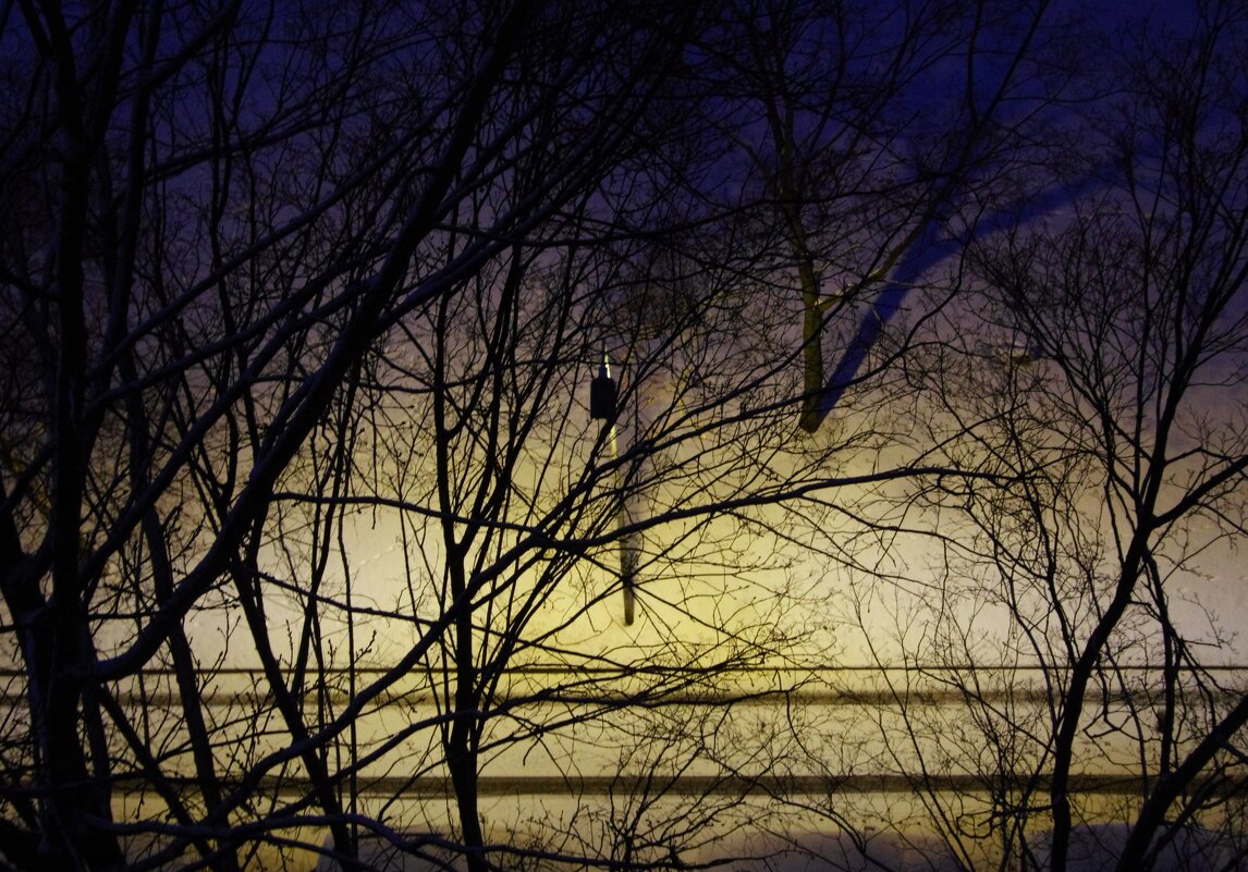 Похоже деревья тоже спят... - Юрий Куликов