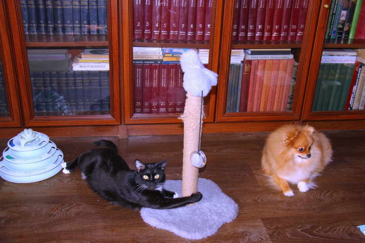 Анфиса и Василиса. - Штрек Надежда Анфиса и Василиса. - Штрек Надежда