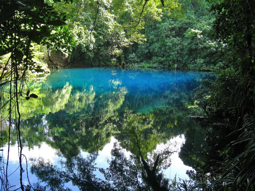 Голубая лагуна Нанда, остров Эспириту-Санто, Вануату. - unix (Илья Утропов) Голубая лагуна Нанда, остров Эспириту-Санто, Вануату. - unix (Илья Утропов)