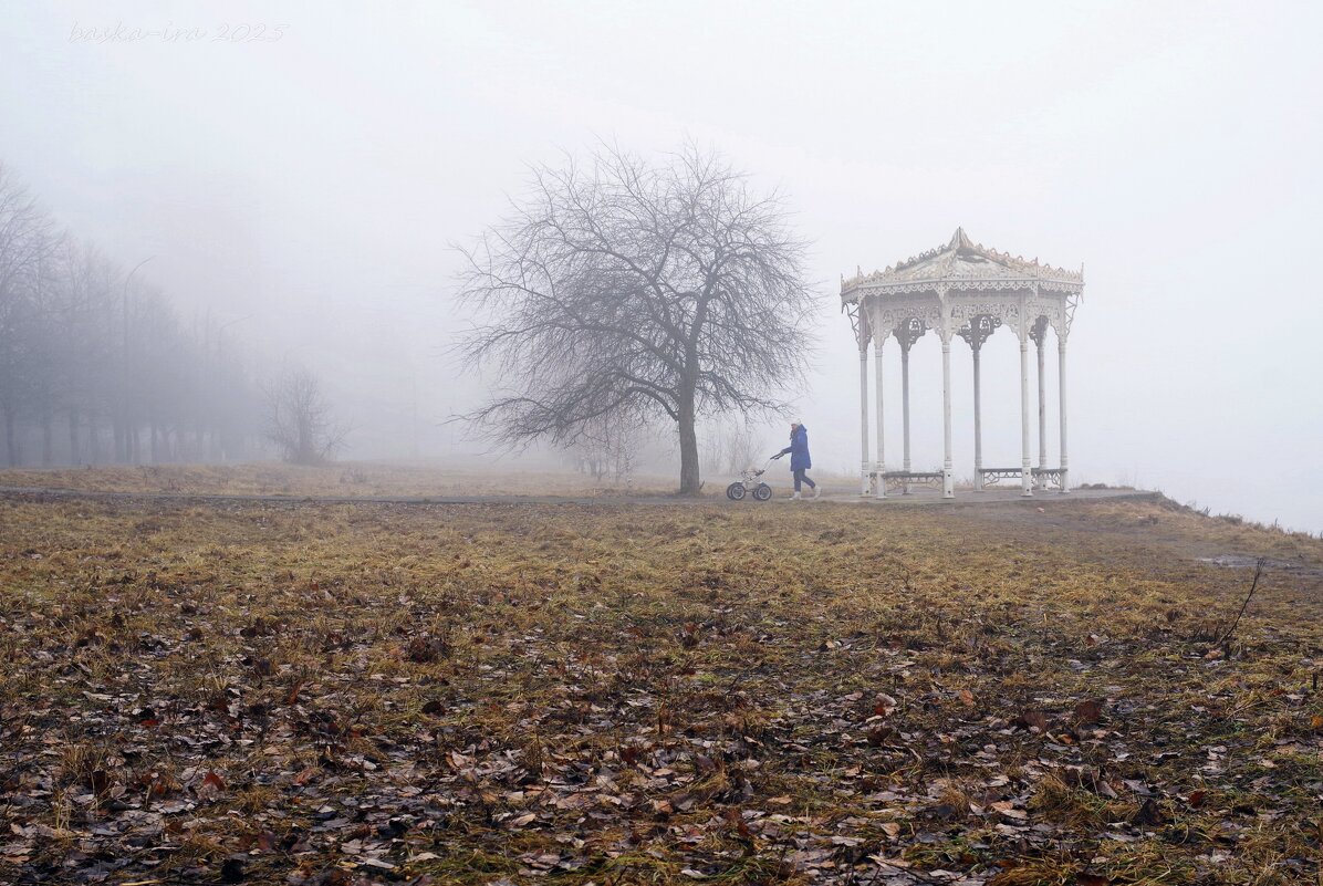 Туманное утро в марте - Ирина Баскакова