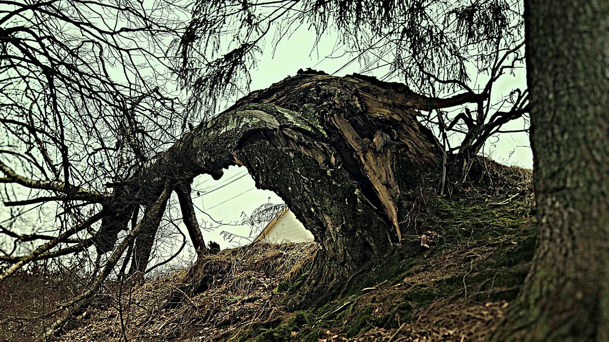 время пришло.... - Любовь время пришло.... - Любовь