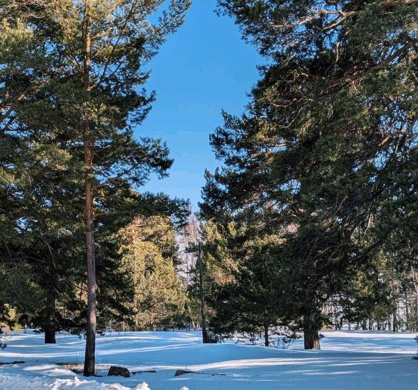 Солнечный день - Георгиевич 