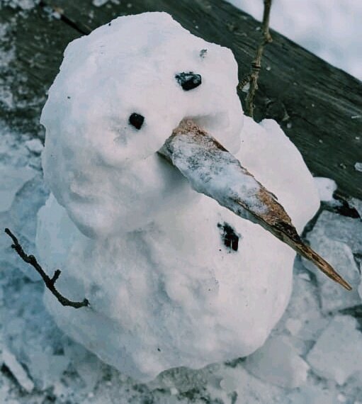 Снеговичок - Георгиевич Снеговичок - Георгиевич