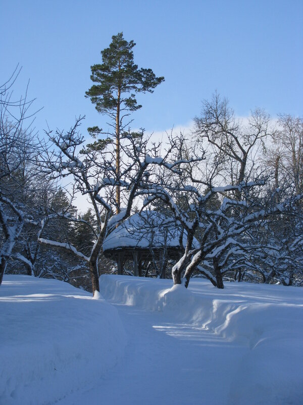 Зимнее утро в начале марта - Олег Зоркий Зимнее утро в начале марта - Олег Зоркий