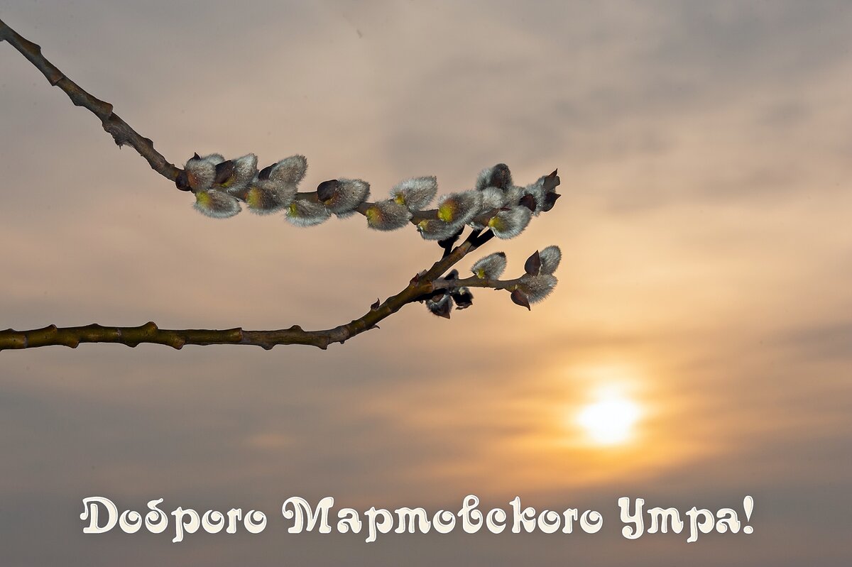 Доброе утро! - Валерий Иванович Доброе утро! - Валерий Иванович