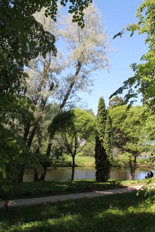 Музей-усадьба "Михайловское" летом - Олег Зоркий