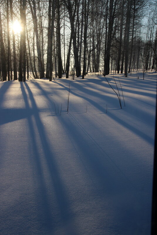Март! - Евгения Каравашкина Март! - Евгения Каравашкина