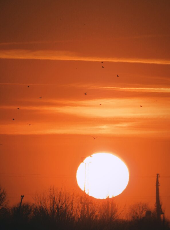 Закат - Tanya Nikorovskaya