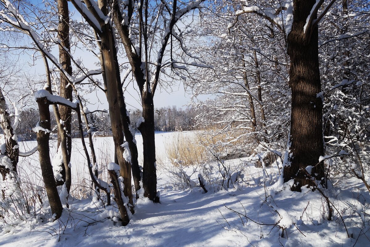 Окрестности Калининграда - Рита Симонова Окрестности Калининграда - Рита Симонова