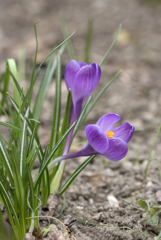 Провинившийся... - Валерий Басыров Провинившийся... - Валерий Басыров
