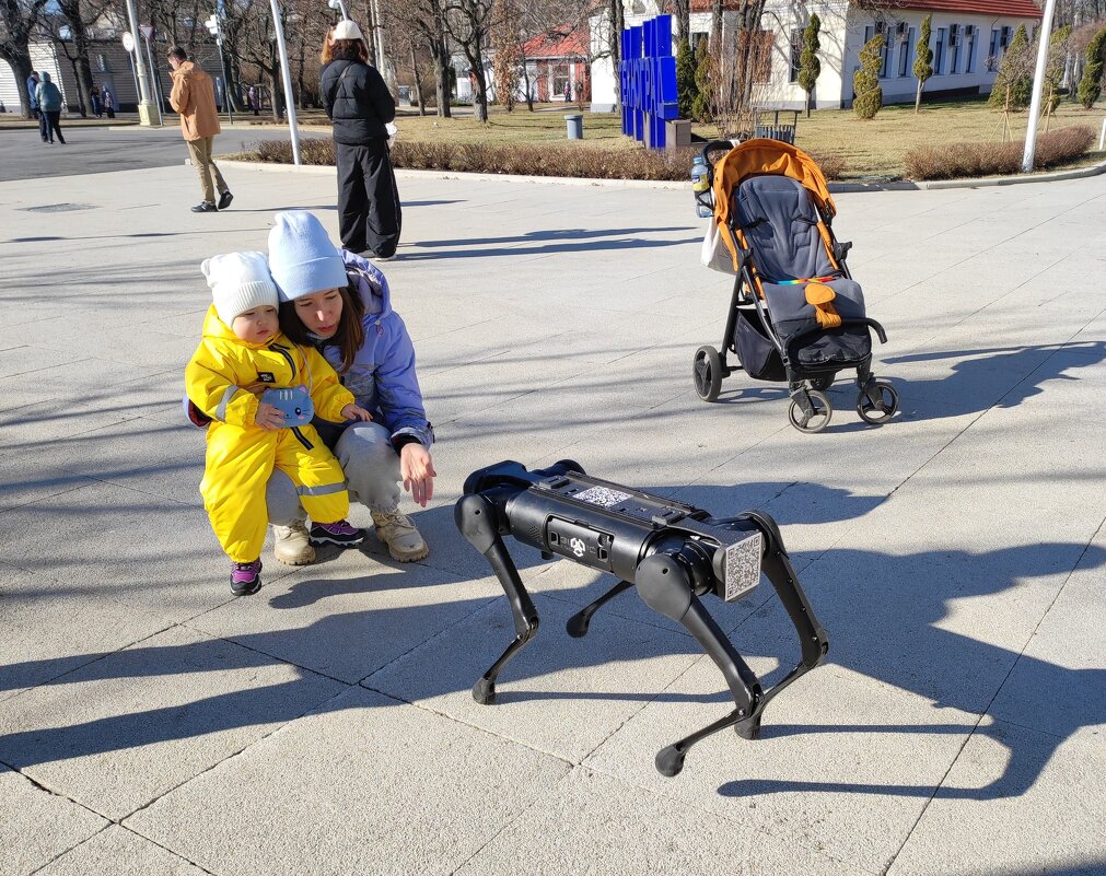 Робот-собачка - Елен@Ёлочка К.Е.Т.