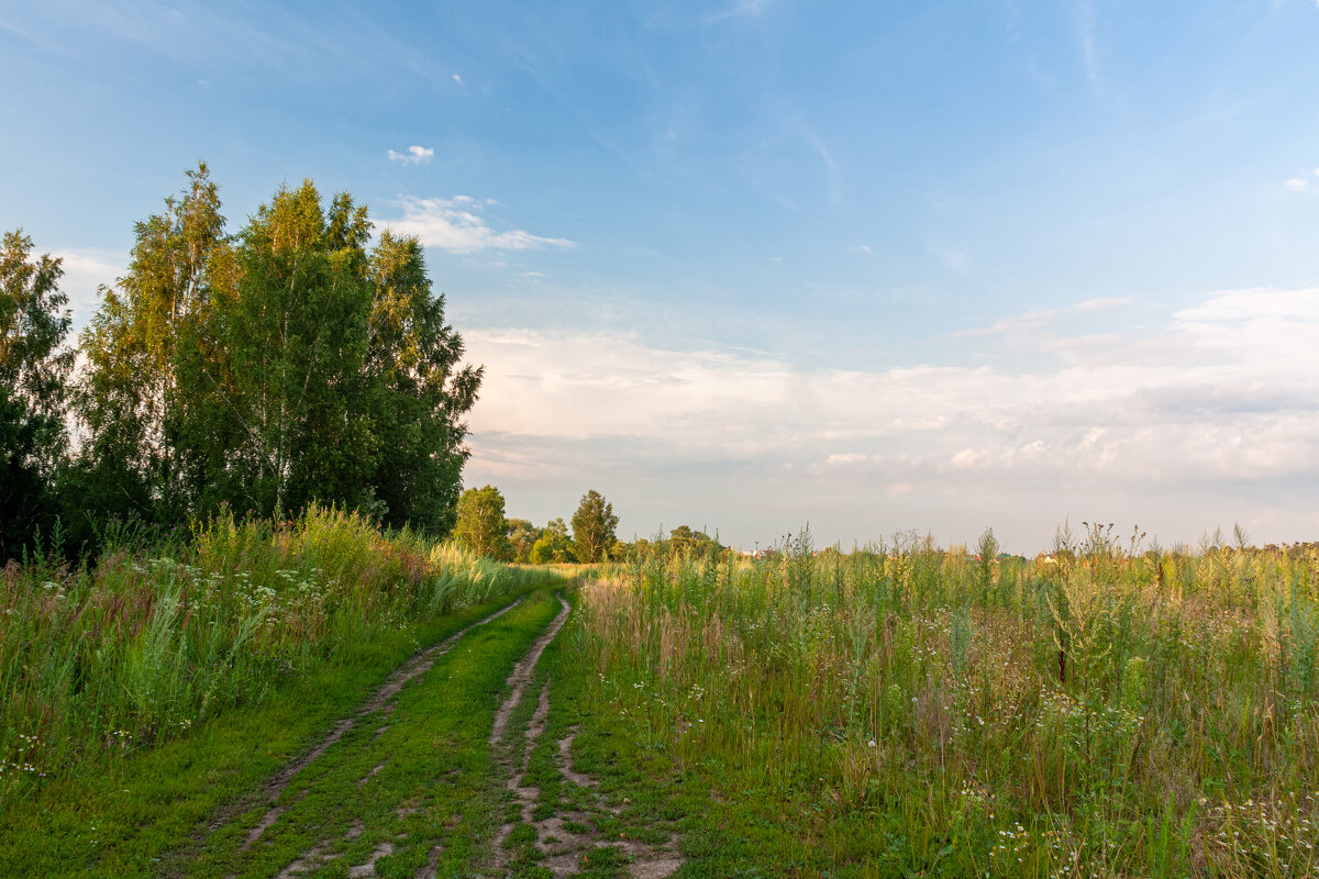 Летнее настроение. - Alexandr Gunin Летнее настроение. - Alexandr Gunin