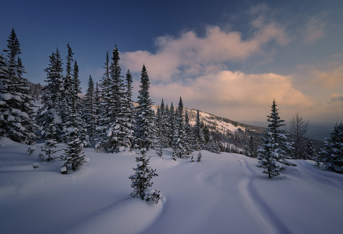 * - Александр Иванов * - Александр Иванов
