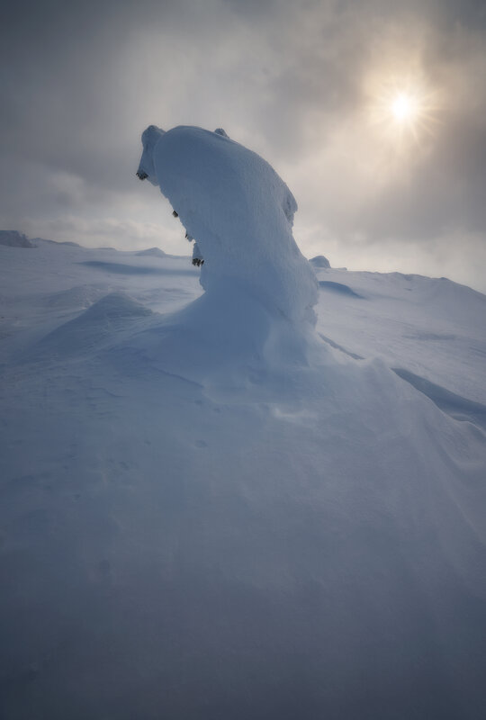 * - Александр Иванов