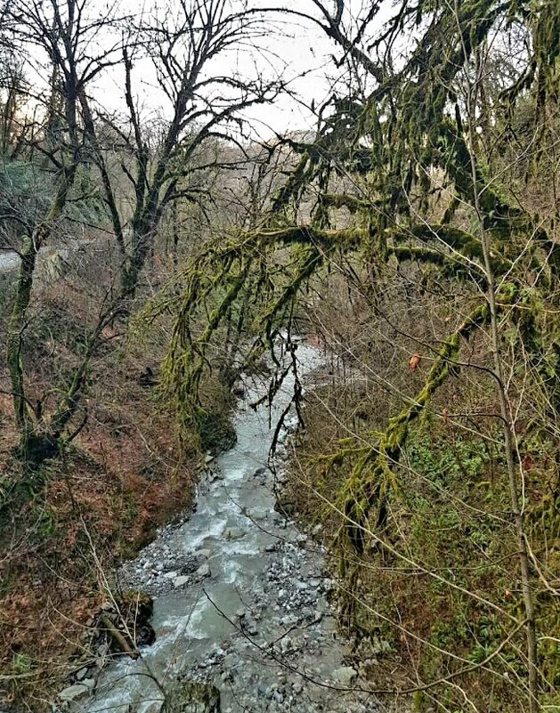 Солох Аул Сочи - Tata Wolf