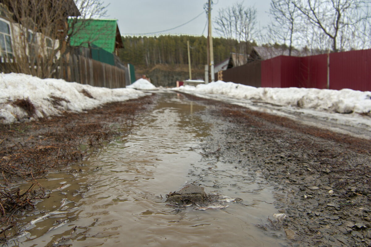 Какая весна - такой и паводок. - Михаил Полыгалов Какая весна - такой и паводок. - Михаил Полыгалов