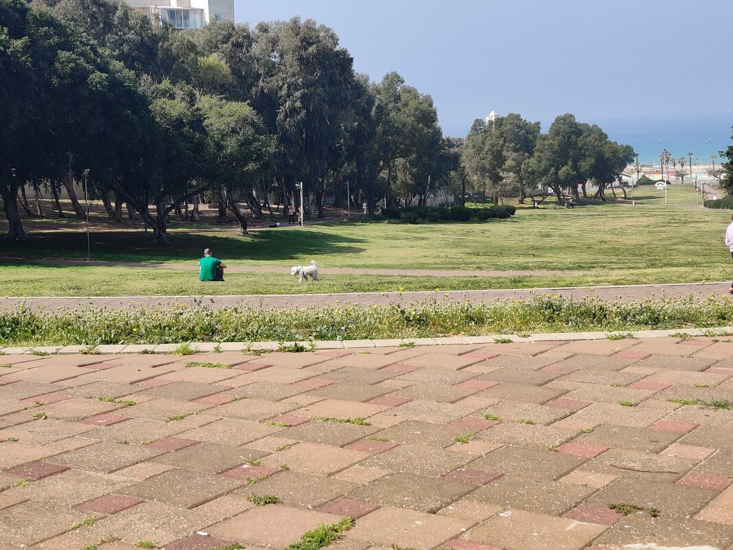 " - Светлана Хращевская