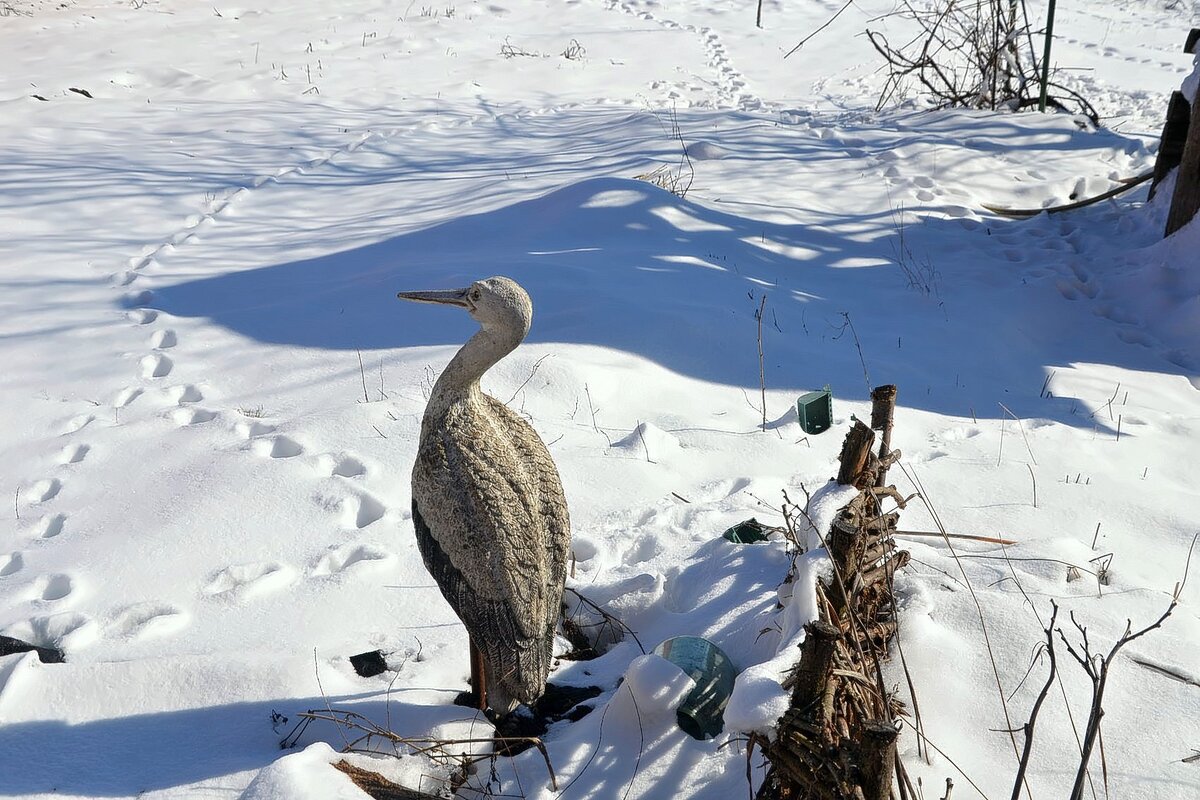 Зима в марте. - Михаил Столяров