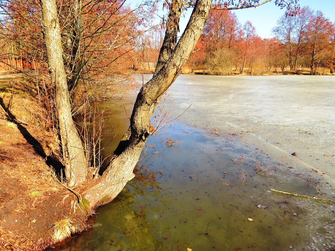 Последний лёд - Андрей Снегерёв