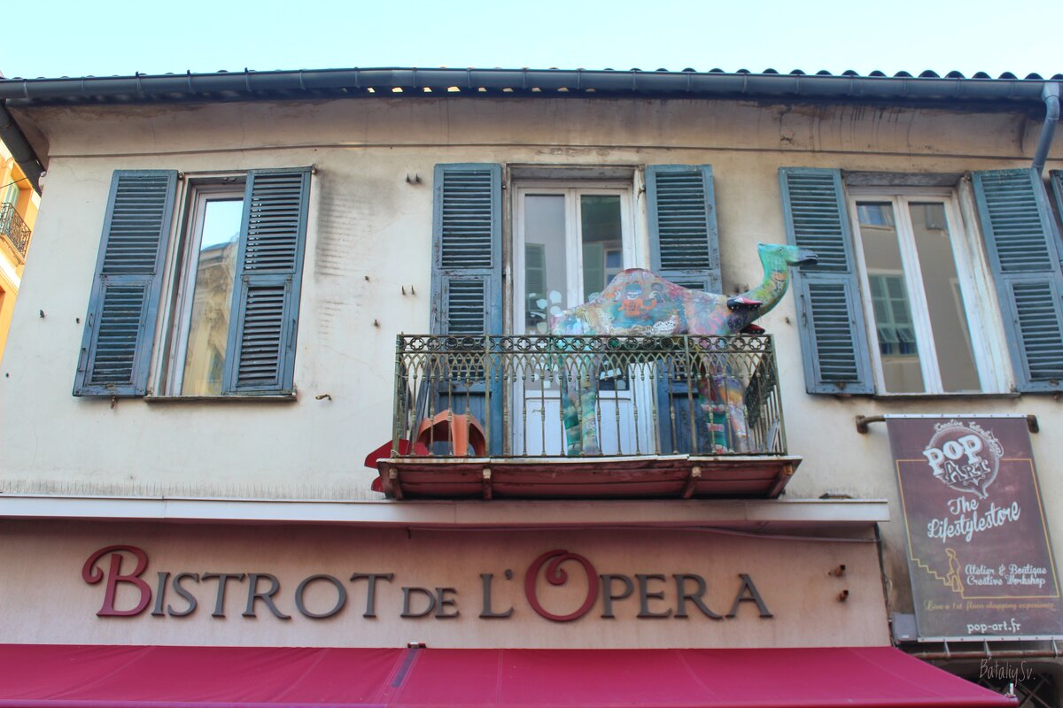 верблюд - Светлана Баталий верблюд - Светлана Баталий