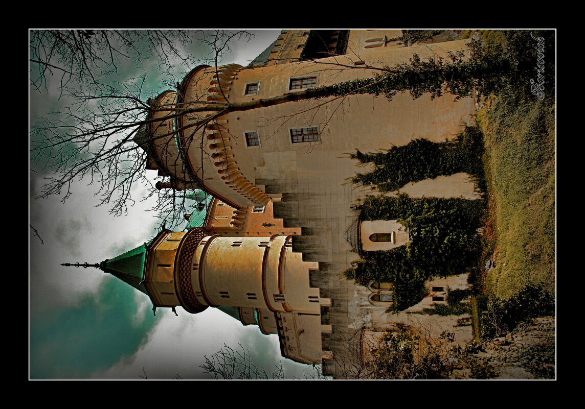 bojnici - Denis Lipatov bojnici - Denis Lipatov