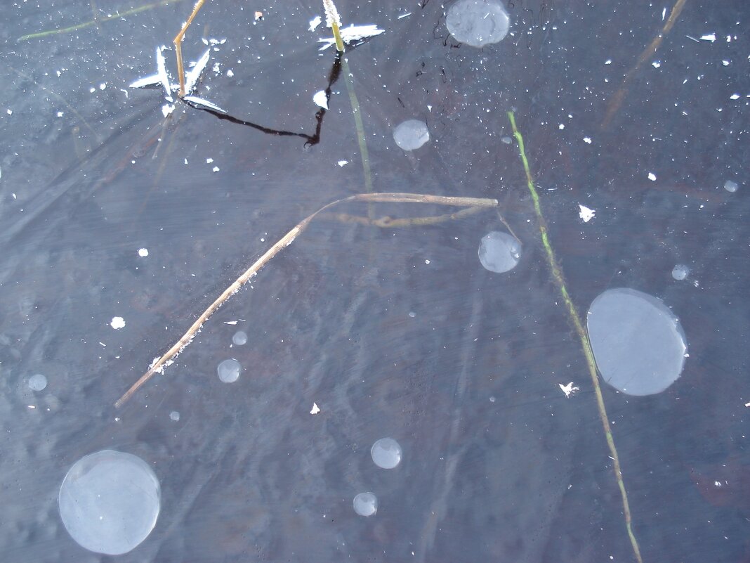 рисунок на воде - Елена Кордумова