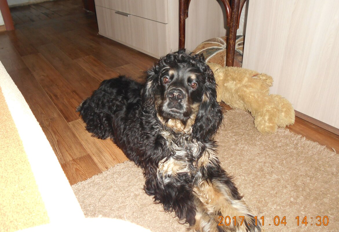 Мой Ричи - Марина 