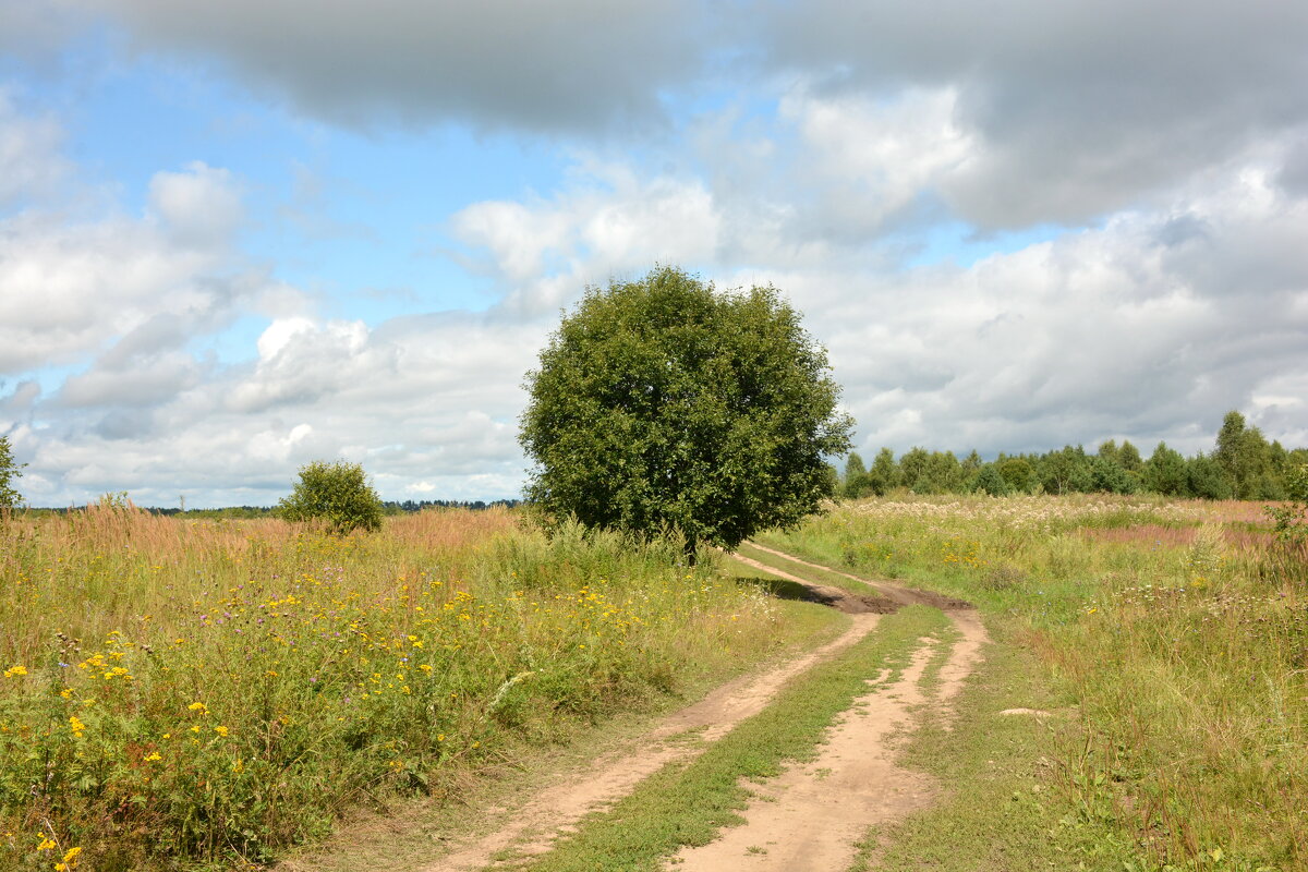 Дорогами парка Никола-Ленивец - Леонид Иванчук Дорогами парка Никола-Ленивец - Леонид Иванчук