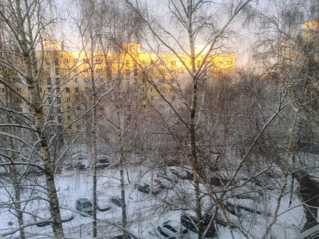 Вечерний свет - Galina Solovova