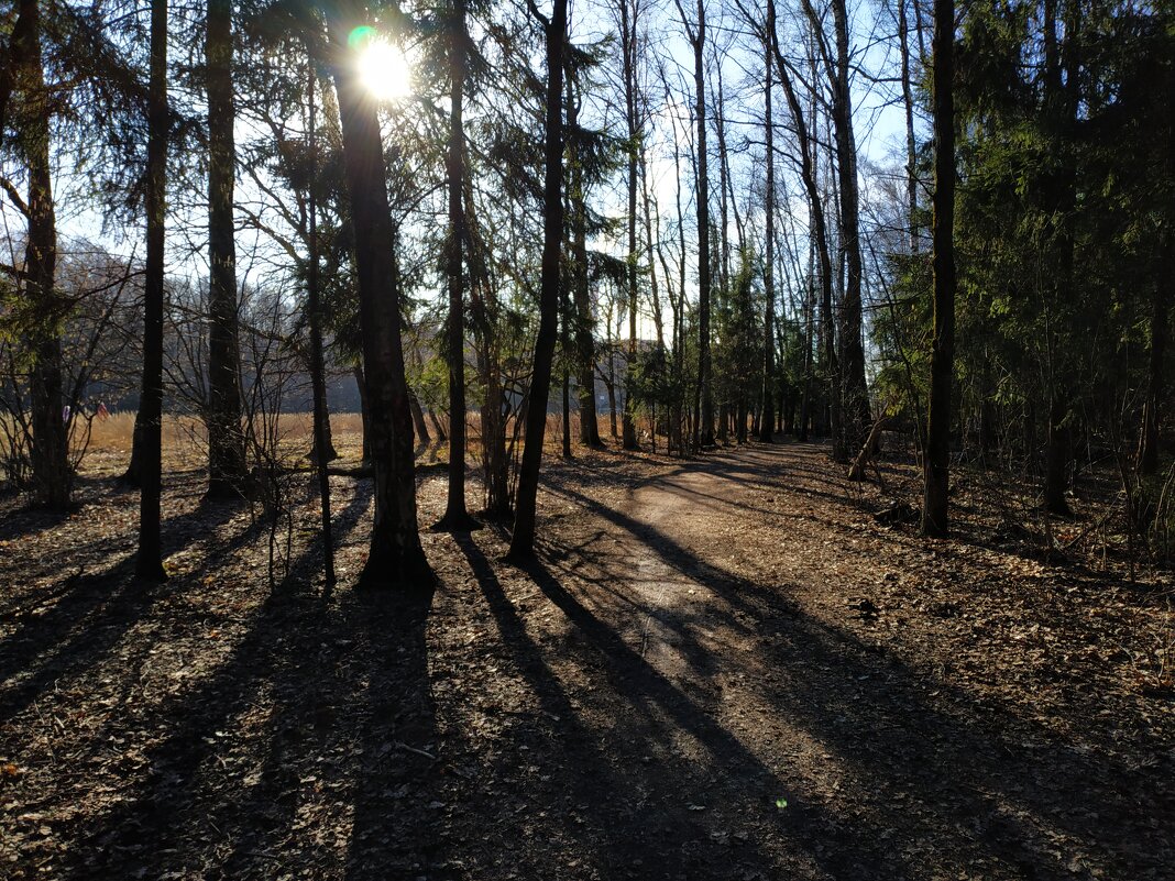 Март-2025 в Лосином острове - Андрей Лукьянов Март-2025 в Лосином острове - Андрей Лукьянов