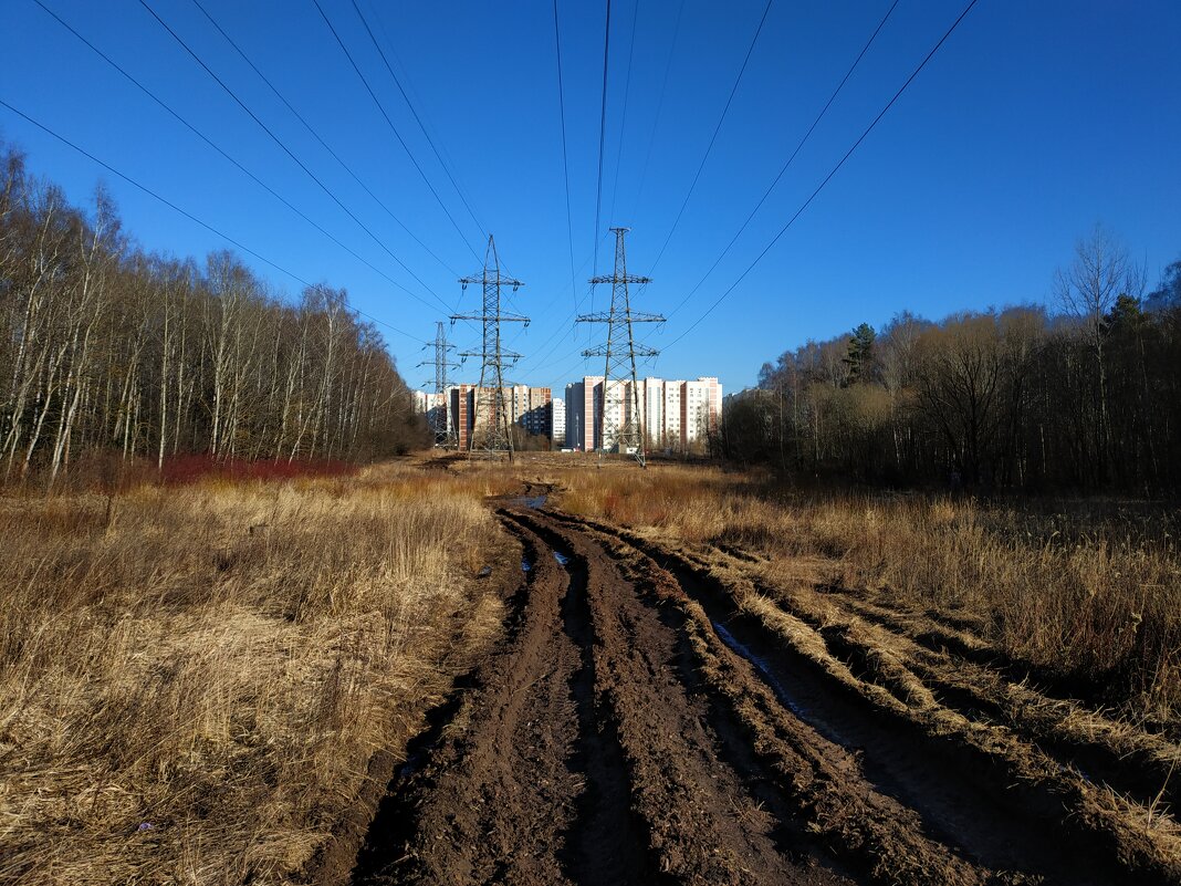 Март-2025 в Лосином острове - Андрей Лукьянов